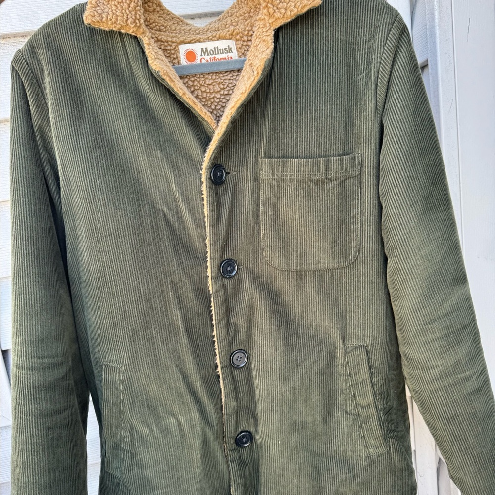 Mollusk Coat